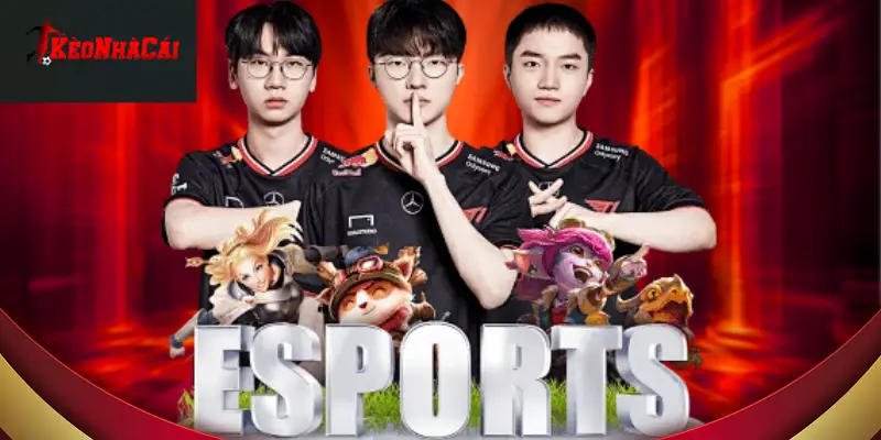 điều khoản và điều kiện kèo nhà cái áp dụng cho tất cả các người truy cập 