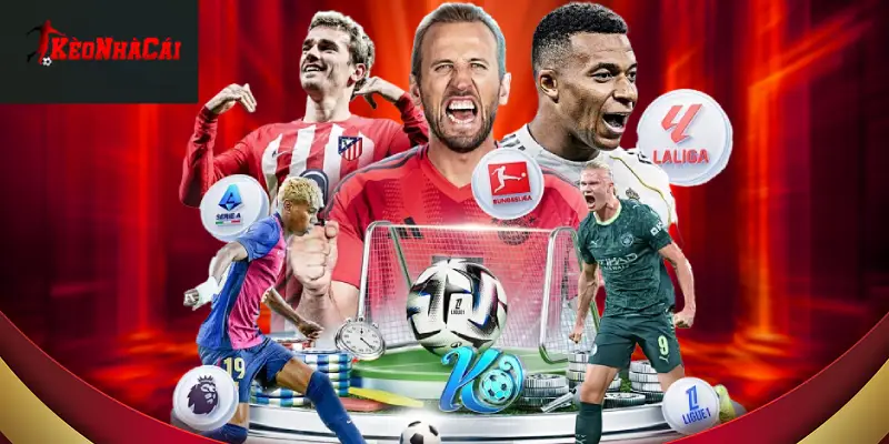 thông tin uy tín rõ ràng đa dạng và đáng tin cậy 